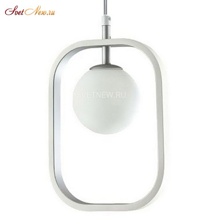 MOD431-PL-01-WS