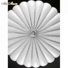 RC227-025 BLL