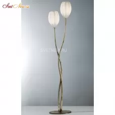 RP158-195 BLL