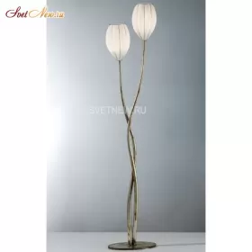 RP158-195 BLL