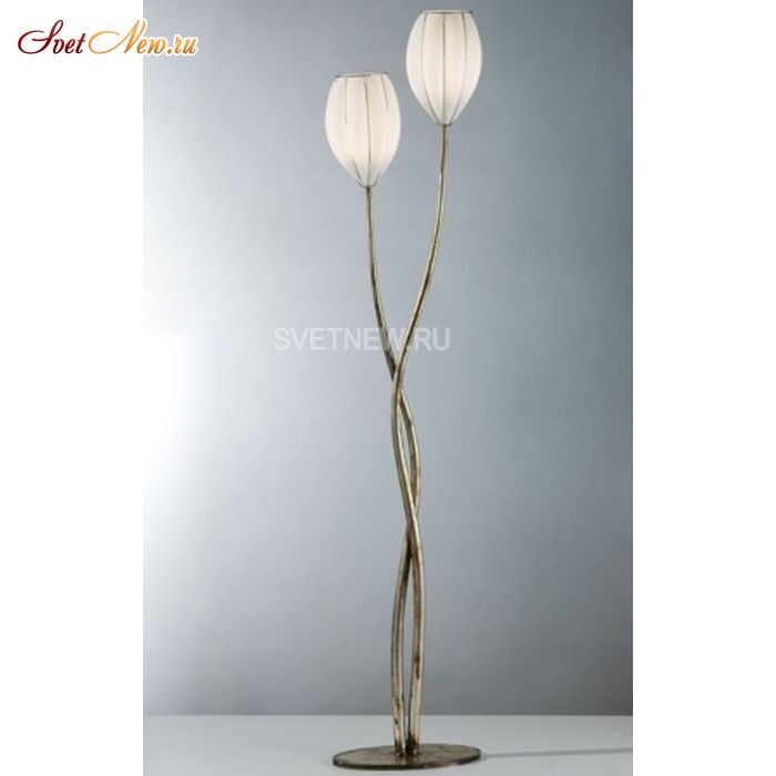 RP158-195 BLL