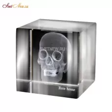 Skull 3D Large