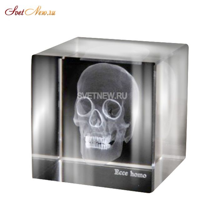 Skull 3D Large