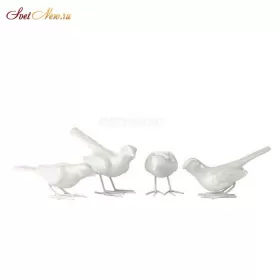 Starling ironlegs