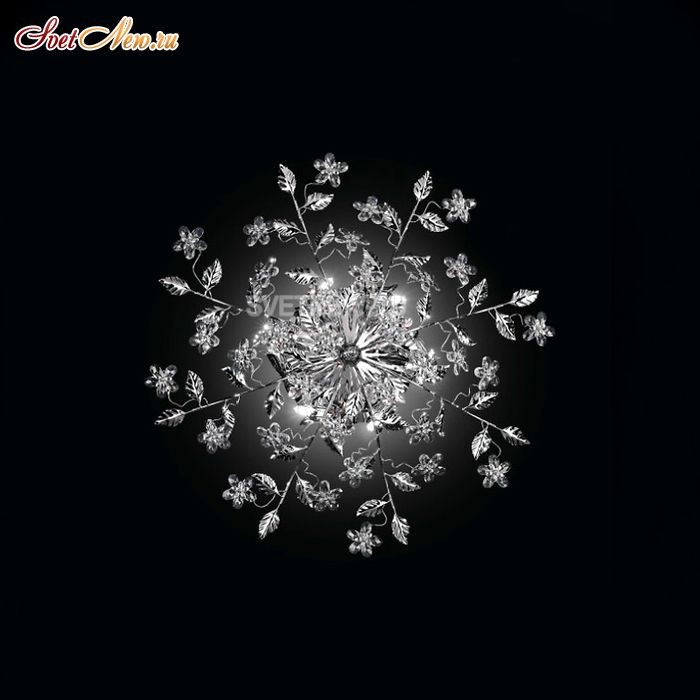 PL 14132/3 MS CRO
