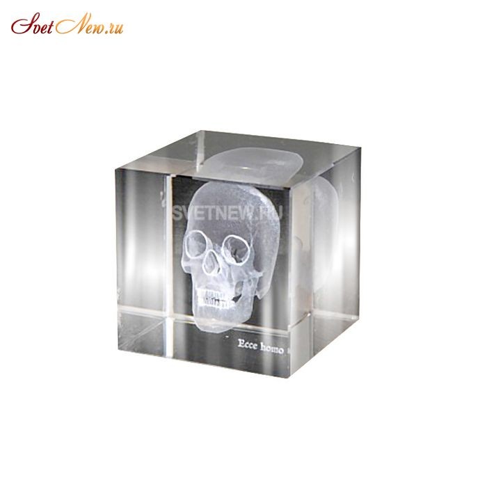 Skull 3D Small