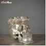 Silver Queen Skull Extraordinary Voyages