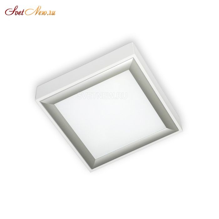 M-17017 White