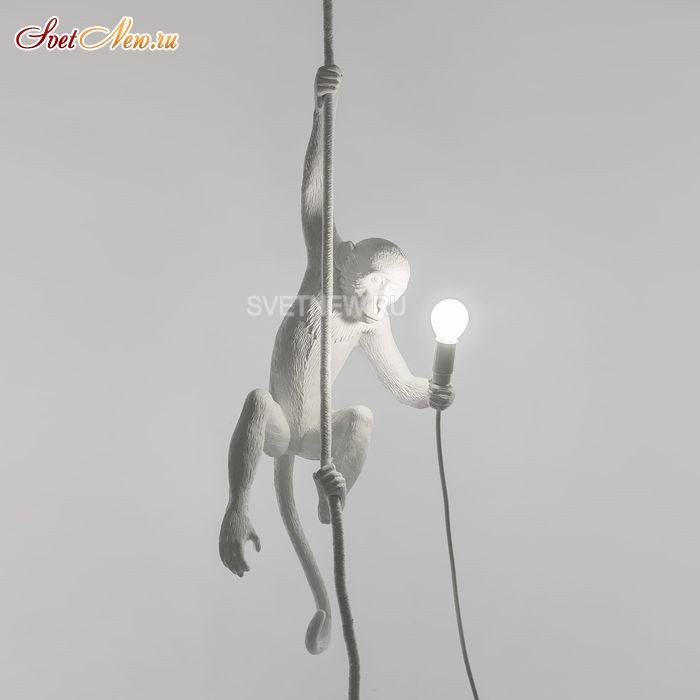 Monkey Lamp Ceiling 75257