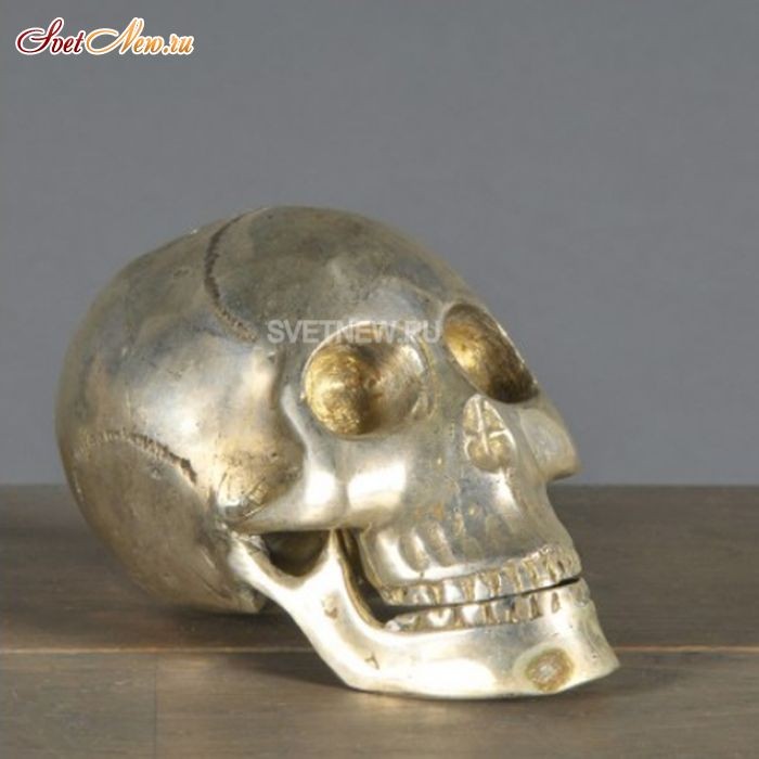 Iron Skull
