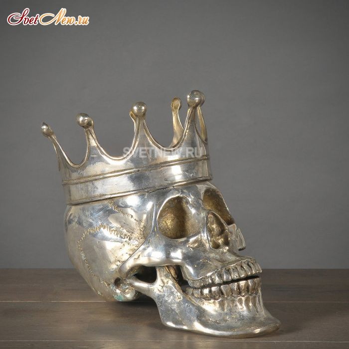 Silver King Skull Extraordinary Voyages