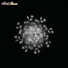 PL 14132/6 MS CRO