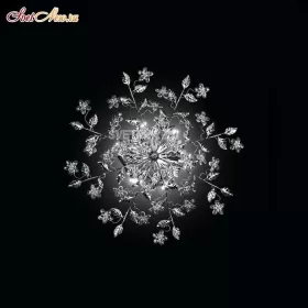 PL 14132/6 MS CRO