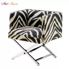 Dawson Zebra