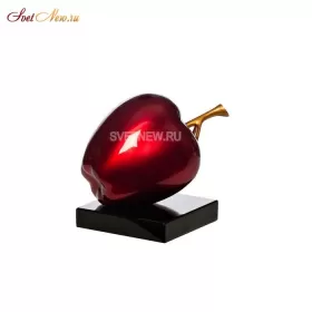 D867XS d867xs_zel