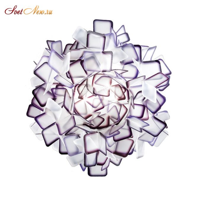 Clizia Medium Purple