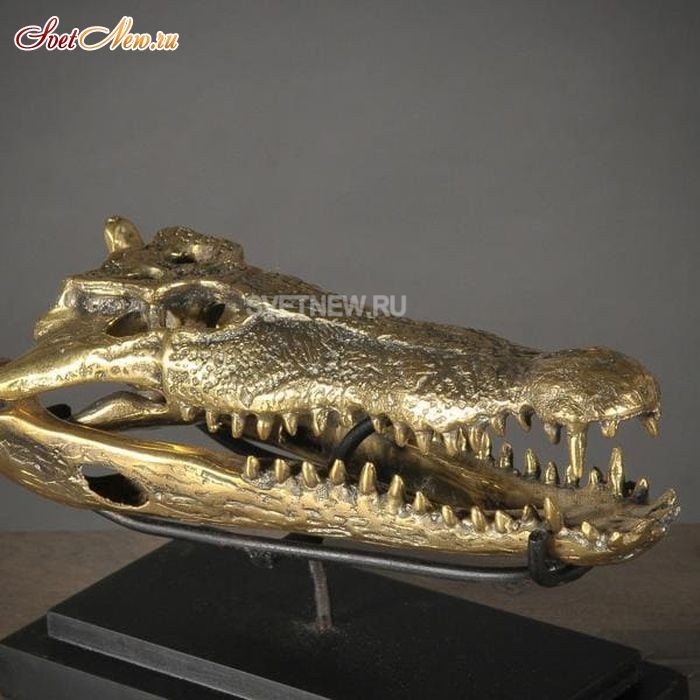 Gold Crocodile Head S