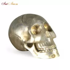 Iron Skull