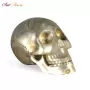 Iron Skull