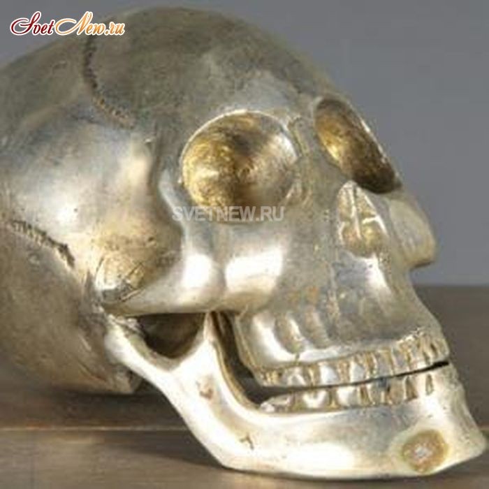 Iron Skull