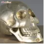 Iron Skull