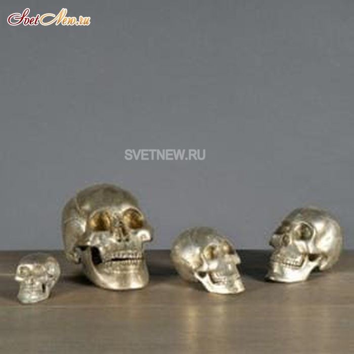 Iron Skull