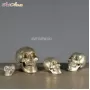 Iron Skull