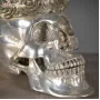 Silver Queen Skull Extraordinary Voyages