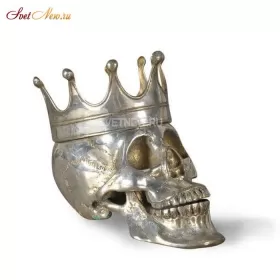 Silver King Skull Extraordinary Voyages