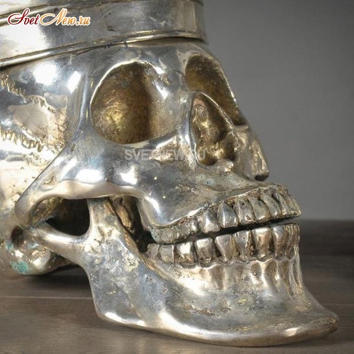 Silver King Skull Extraordinary Voyages