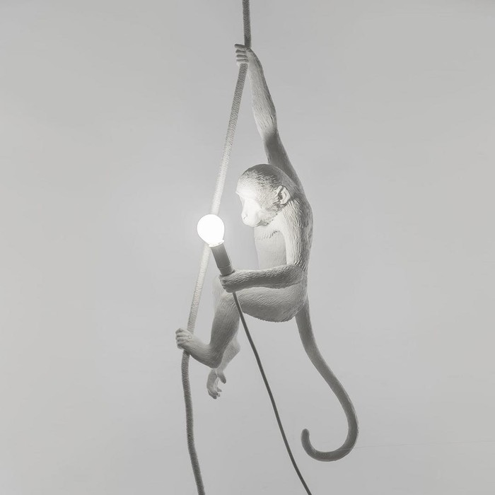 Monkey Lamp Ceiling 75257