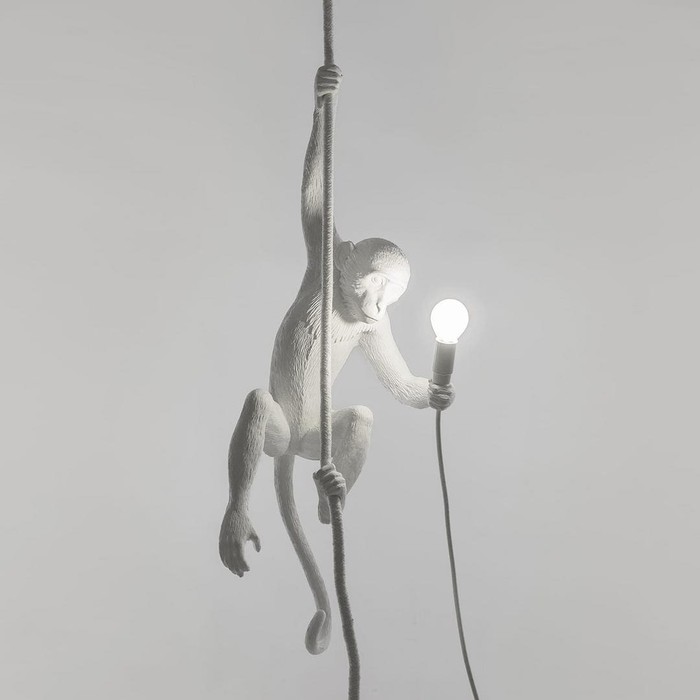 Monkey Lamp Ceiling 75257