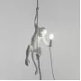 Monkey Lamp Ceiling 75257