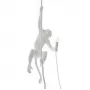 Monkey Lamp Ceiling 75257