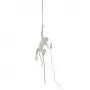 Monkey Lamp Ceiling 75257