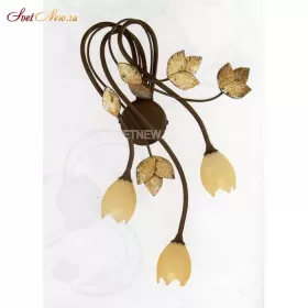 ER-2227/03AP terranova