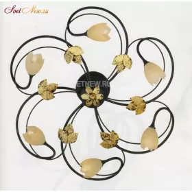 ER-2227/06PL terranova