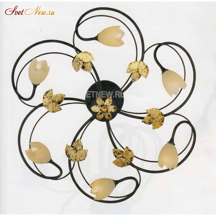 ER-2227/06PL terranova