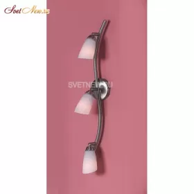 CL501531