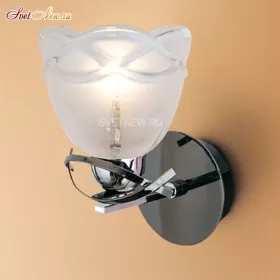 CL147311