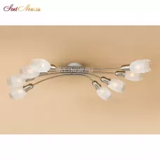 CL524181