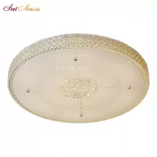 CL705131