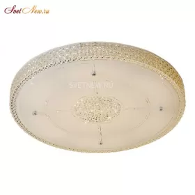 CL705131