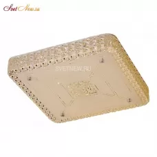 CL705221