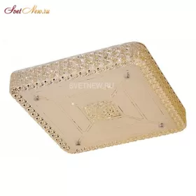 CL705221