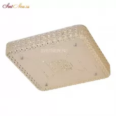 CL705231