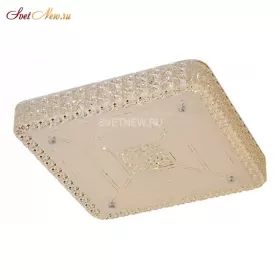 CL705231