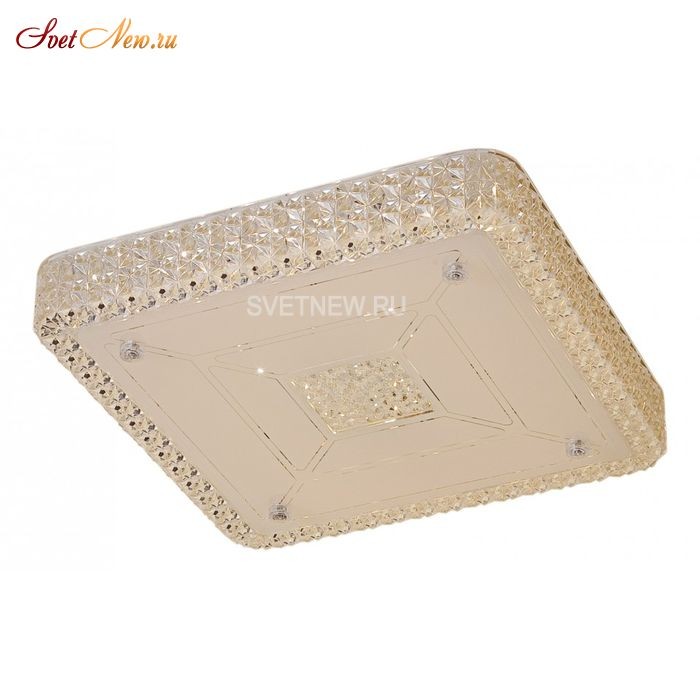 CL705231