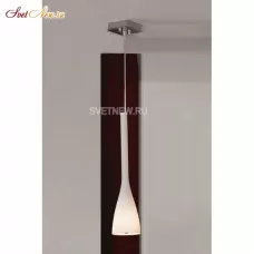LSN-0106-01