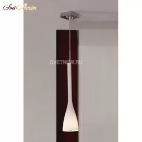 LSN-0106-01
